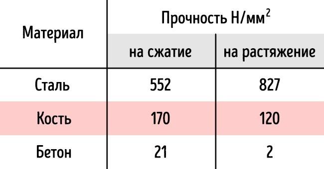 15 особенностей, которые делают человеческое тело уникальным
