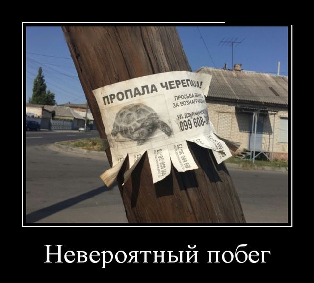 Демотиваторы