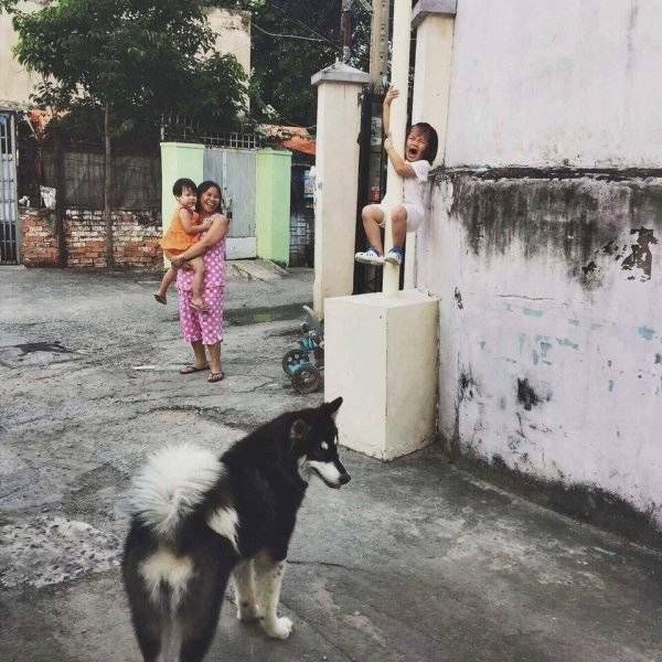 Прикольные картинки