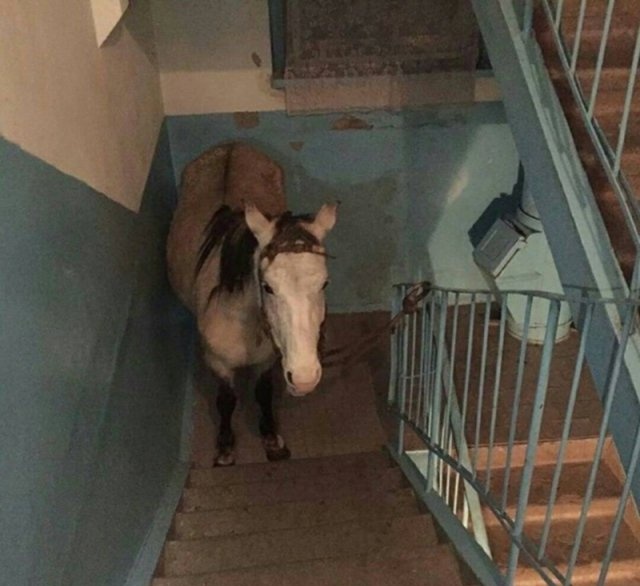 Подъезды многоквартирных домов с наших просторов