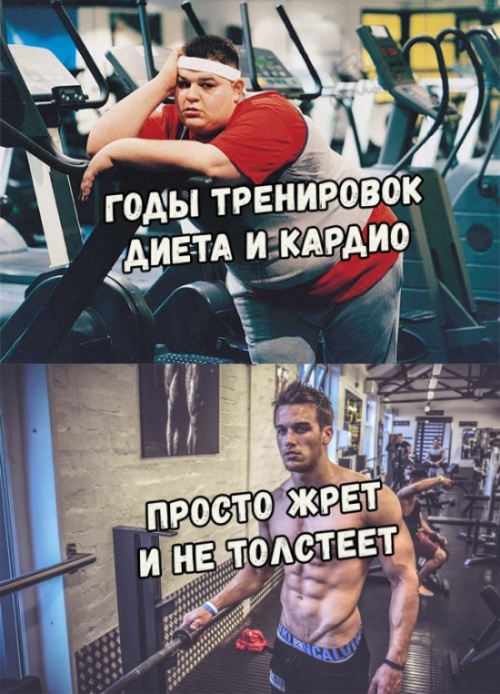 Прикольные картинки