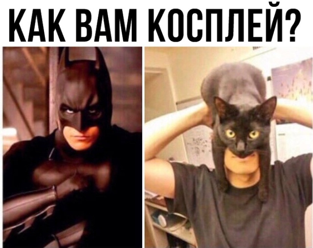 Прикольные картинки