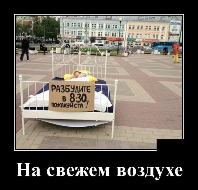 Демотиваторы