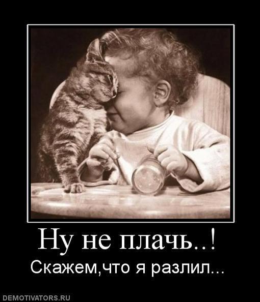 Демотиваторы (60 фото)