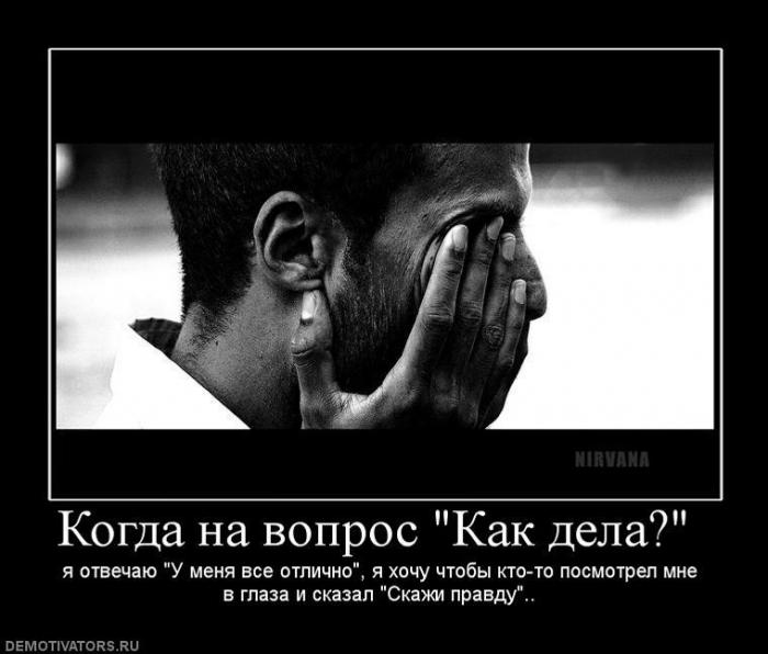 Демотиваторы (60 фото)