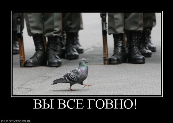 Демотиваторы (60 фото)