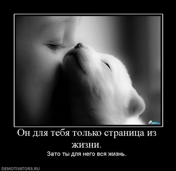 Демотиваторы (60 фото)