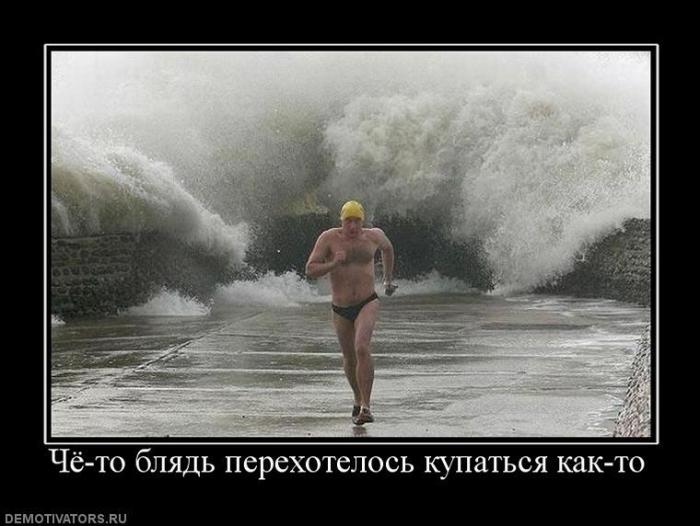 Демотиваторы (60 фото)