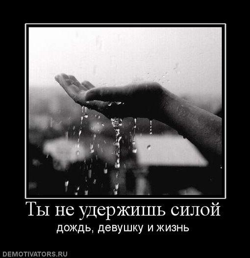 Демотиваторы (60 фото)