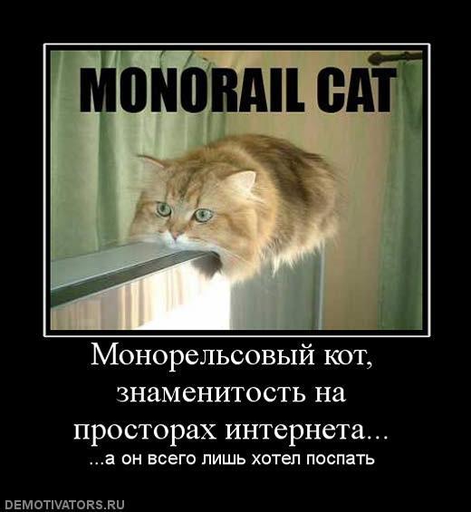 Демотиваторы (60 фото)
