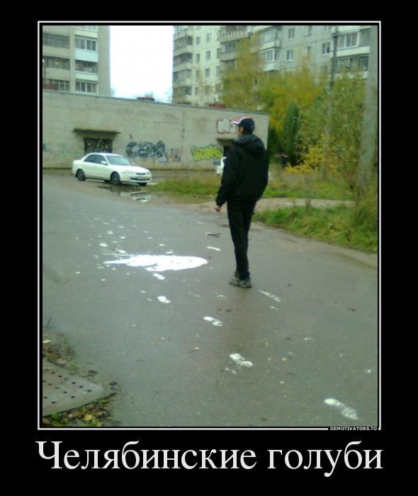 Демотиваторы (60 фото)