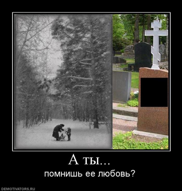 Демотиваторы (60 фото)