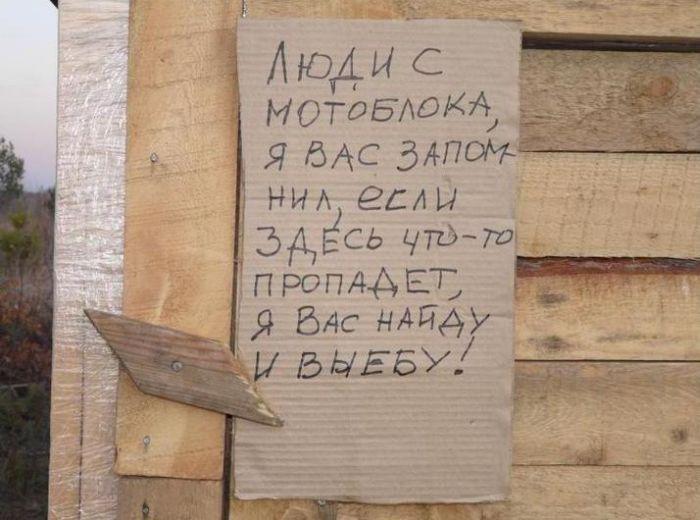Прикольные картинки (67 фото)