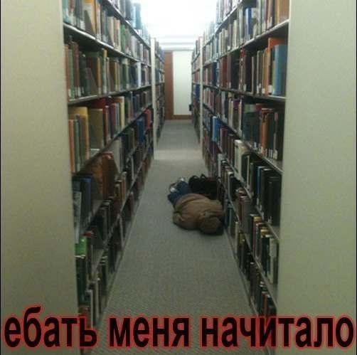 Прикольные картинки (67 фото)