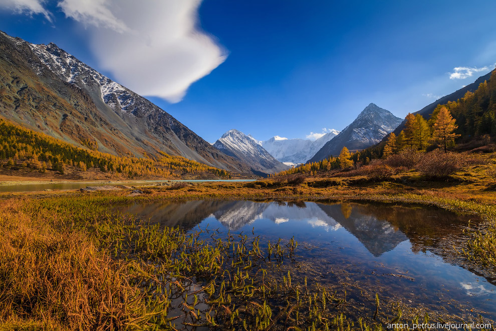 Там, где живет настоящая осень Там, где живет настоящая осень