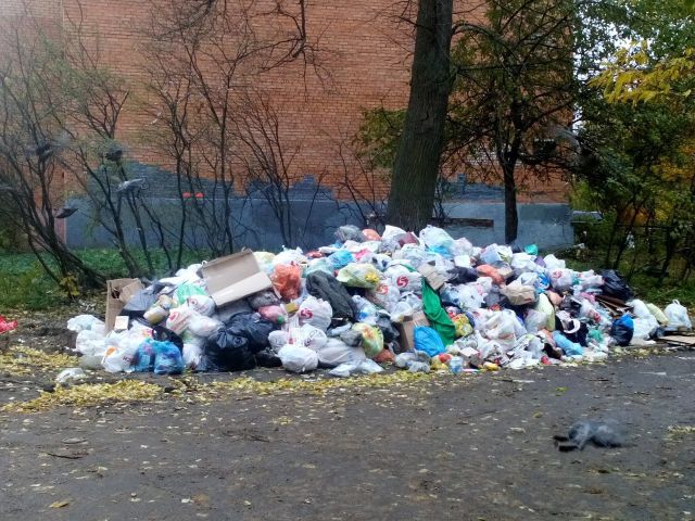 Подмосковное Пушкино утопает в мусоре