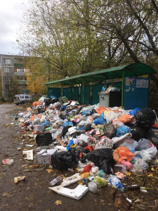 Подмосковное Пушкино утопает в мусоре
