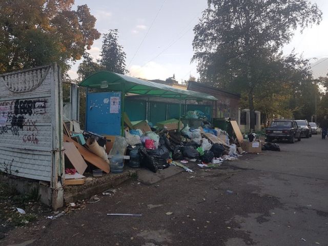 Подмосковное Пушкино утопает в мусоре