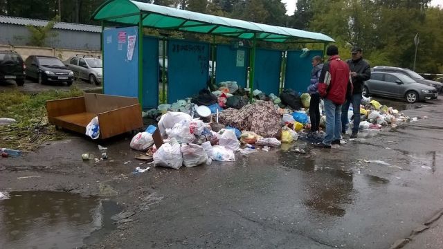 Подмосковное Пушкино утопает в мусоре