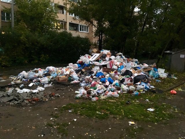 Подмосковное Пушкино утопает в мусоре