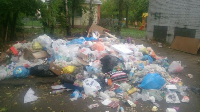 Подмосковное Пушкино утопает в мусоре