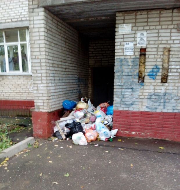 Подмосковное Пушкино утопает в мусоре