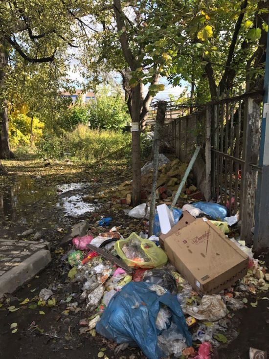 Подмосковное Пушкино утопает в мусоре