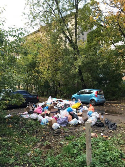 Подмосковное Пушкино утопает в мусоре