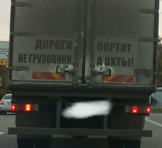 Прикольные картинки