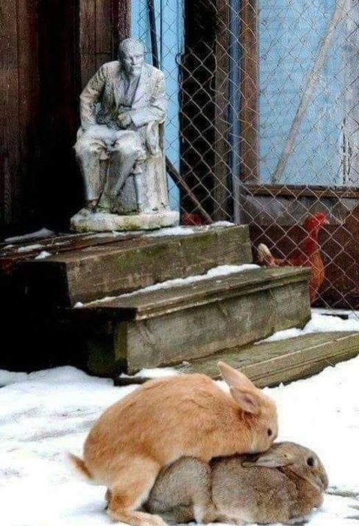 И грустно и смешно