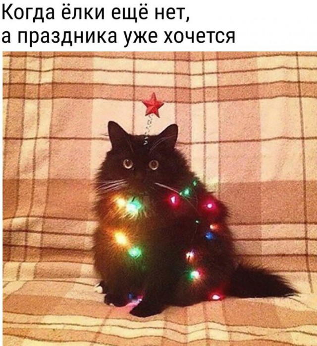 Приколы, которые начинаются со слова «когда»