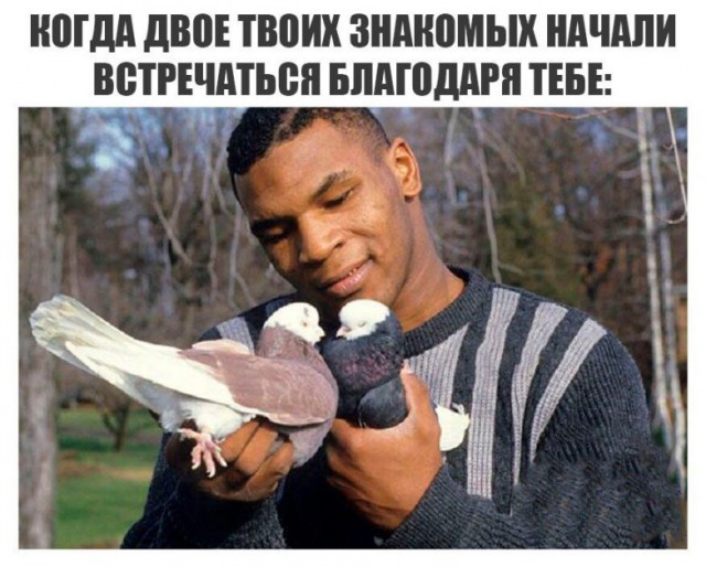 Приколы, которые начинаются со слова «когда»