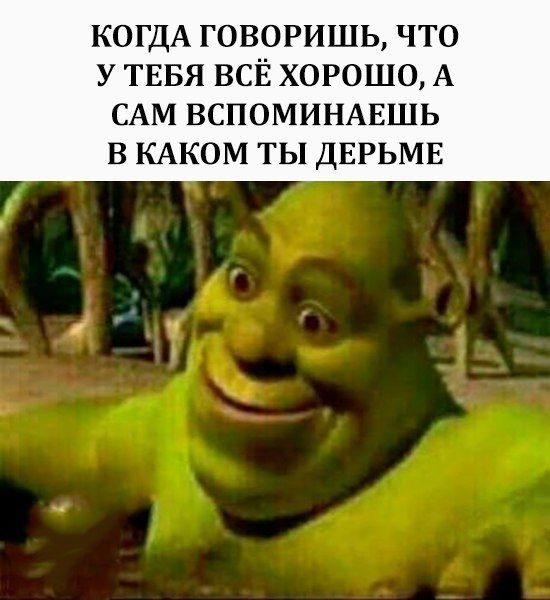 Приколы, которые начинаются со слова «когда»