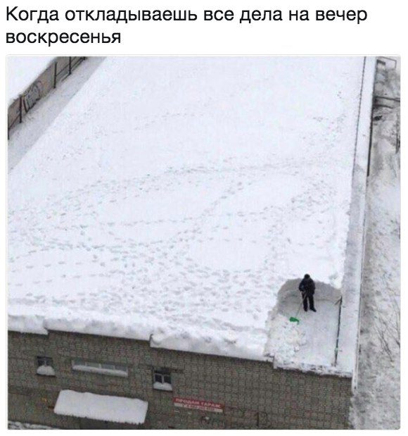 Приколы, которые начинаются со слова «когда»
