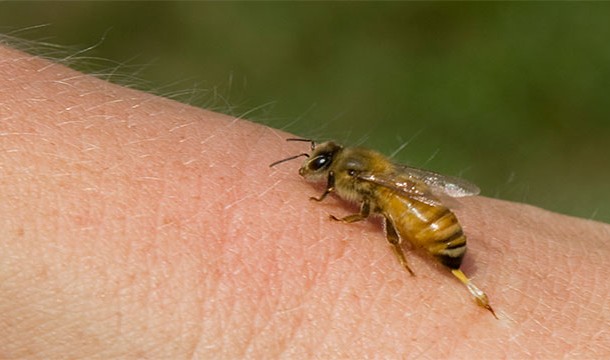 Каковы шансы умереть от того или иного бедствия?