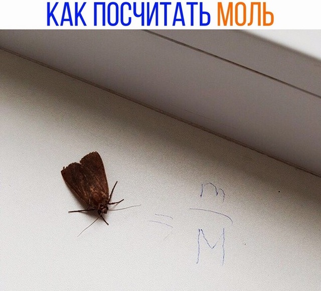 Шутки, высказывания и юмор из социальных сетей