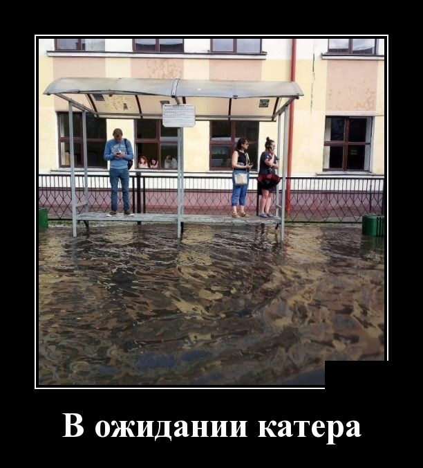 Демотиваторы
