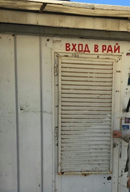Прикольные картинки