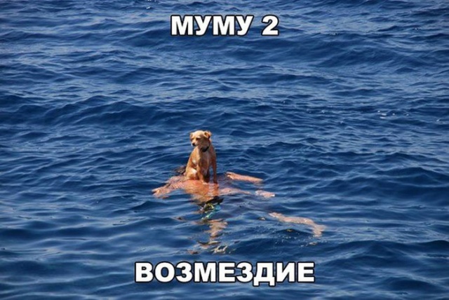 Прикольные картинки