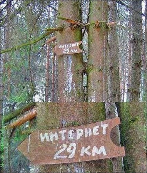 Порция картинок