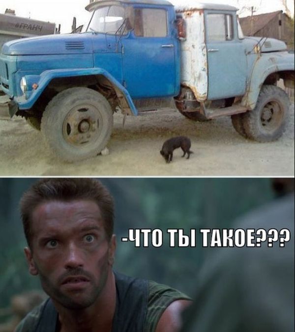 Порция картинок