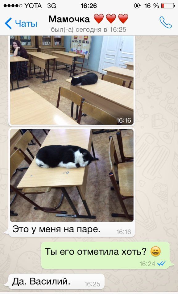 Порция картинок
