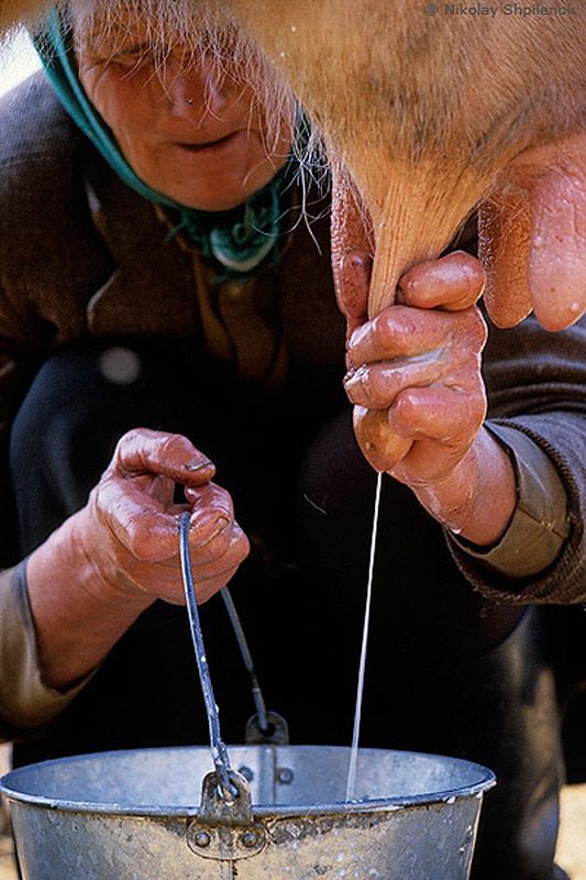 В затерянном мире