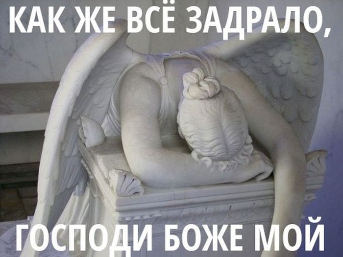 Прикольные картинки (64 фото)