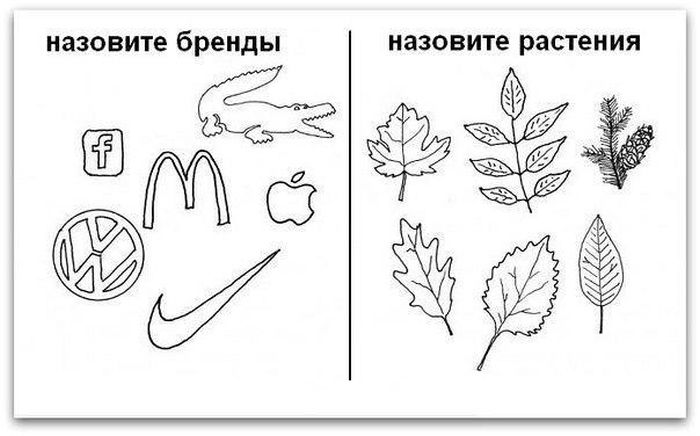 Прикольные картинки (64 фото)