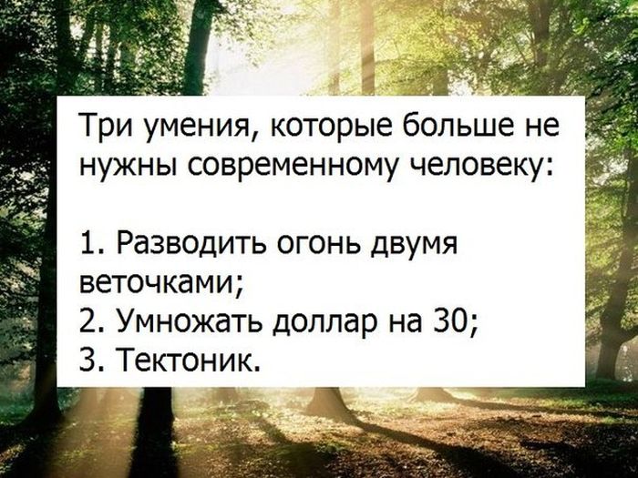 Прикольные картинки (64 фото)