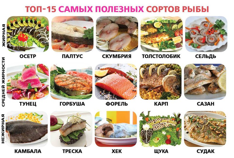 25 очень полезных кулинарных шпаргалок на каждый день для хозяек и не только! (24 фото)