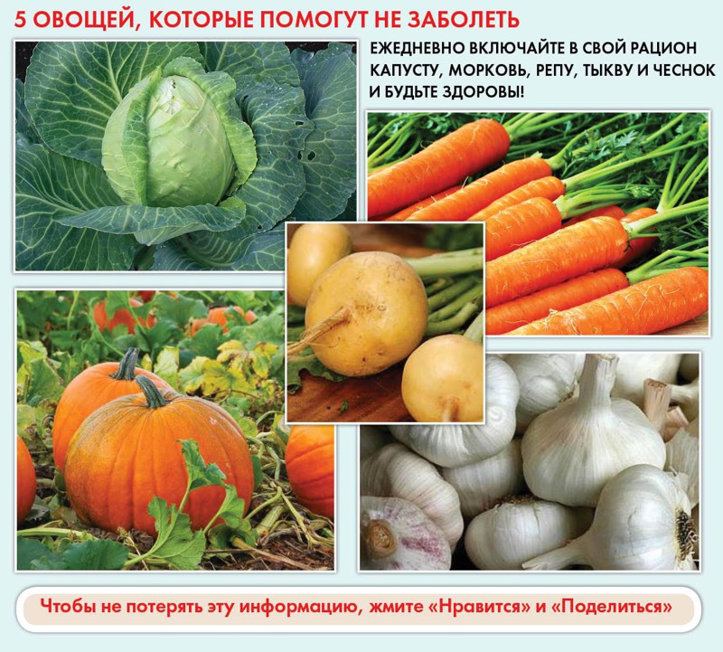 25 очень полезных кулинарных шпаргалок на каждый день для хозяек и не только! (24 фото)