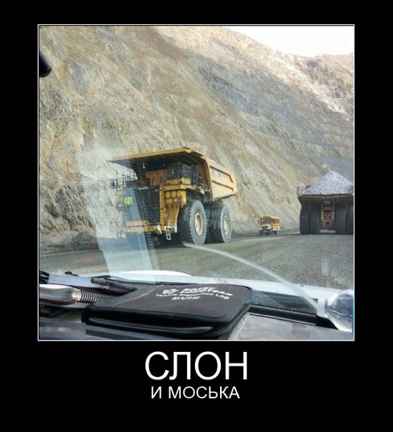 Демотиваторы