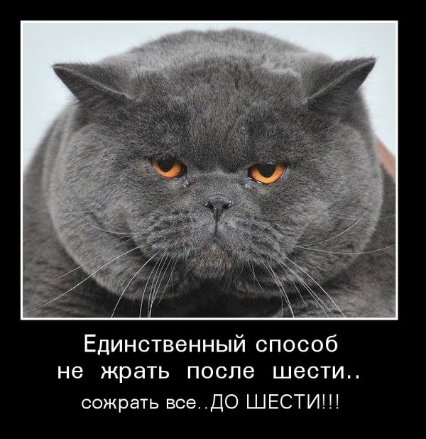 Демотиваторы